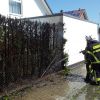 Brandeinsatz Brand_2